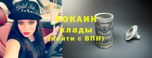 спиды Бородино