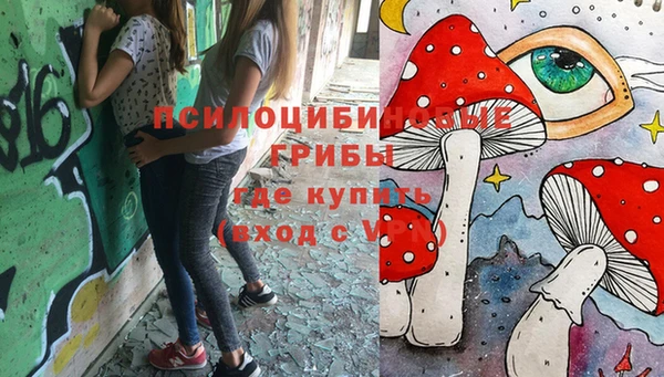 дурь Володарск